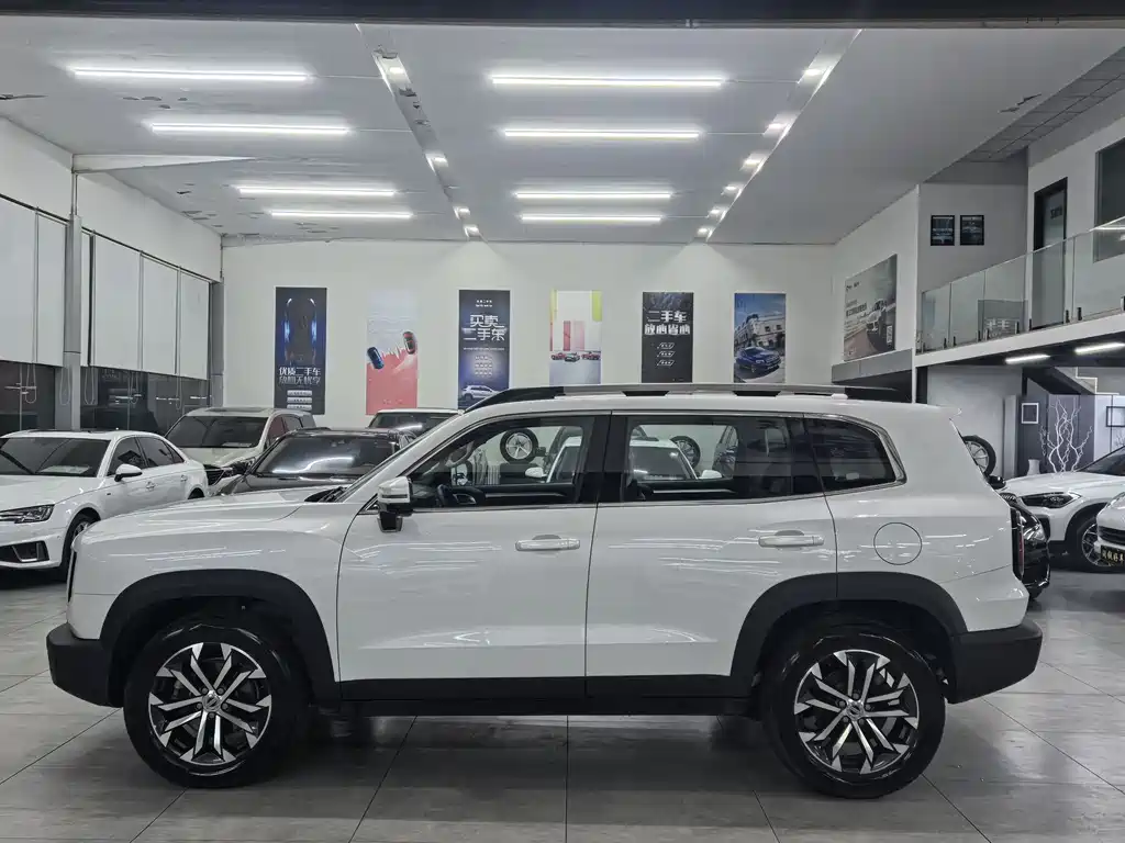Haval Big Dog 2020 — фото 4