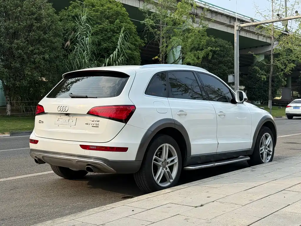 Audi Q5 2018 — фото 28