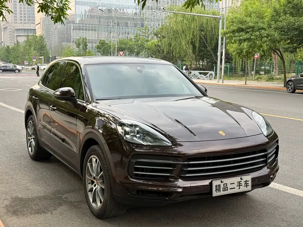 Porsche Cayenne 2020 — фото 21