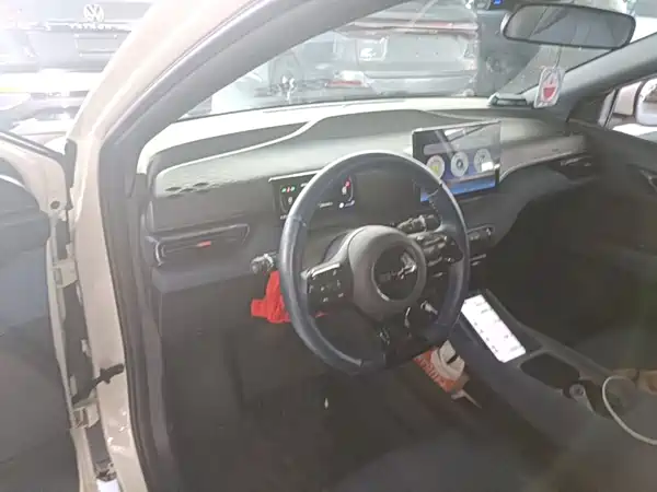 BYD Seagull 2024