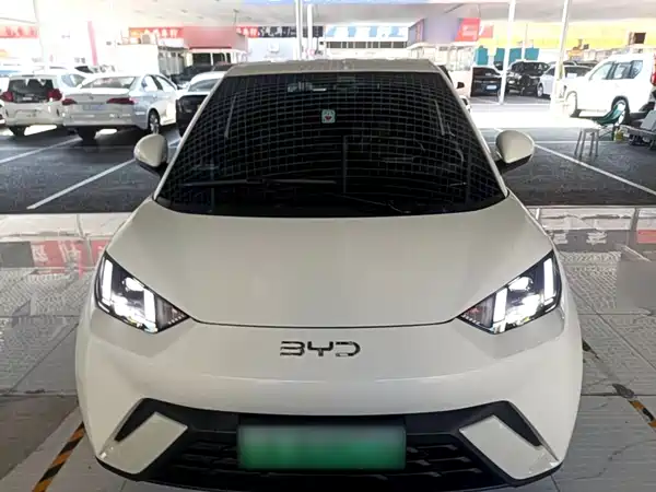 BYD Seagull 2024