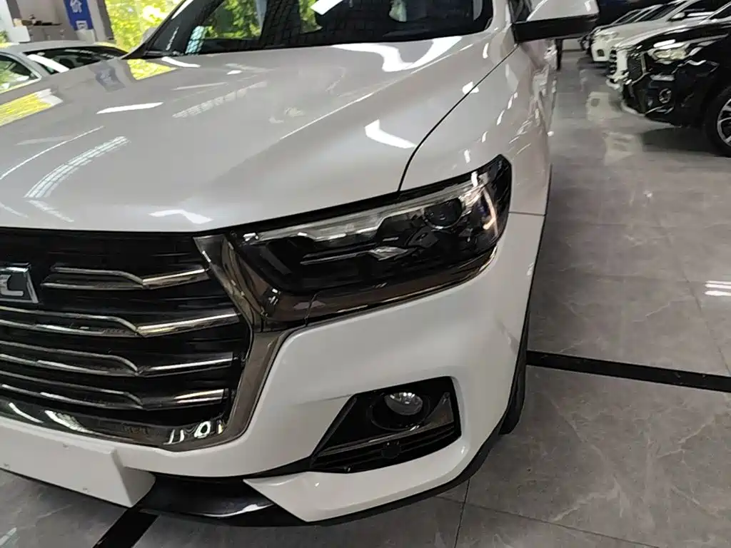 Haval H6 2021 — фото 24