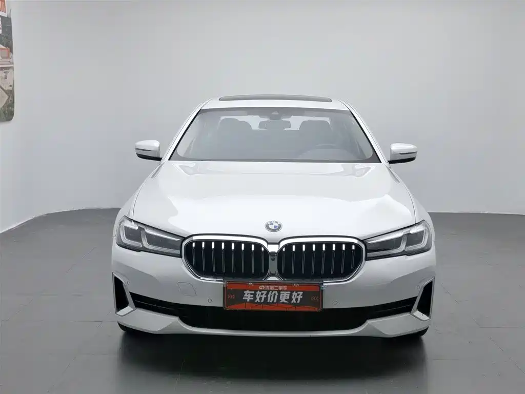 BMW 5 Series New Energy 2021 — фото 3