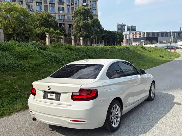 BMW 2 Series 2015