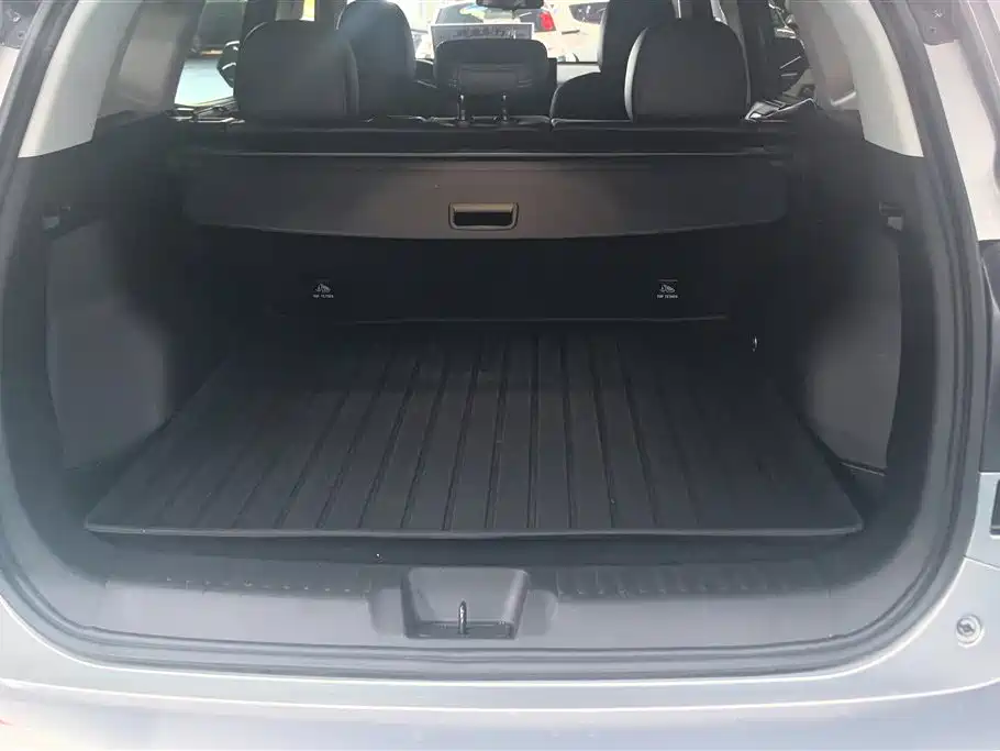 Haval Dargo PLUS EV 2023 — фото 4