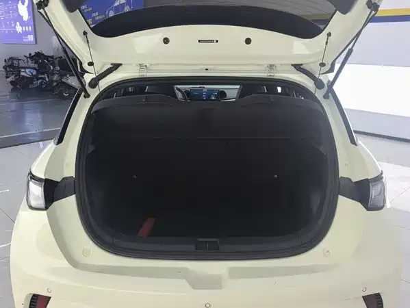 BYD Dolphin 2023