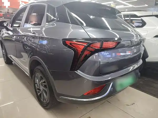 Neta V 2022