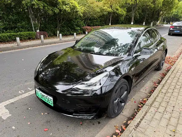 Tesla Model 3 2019