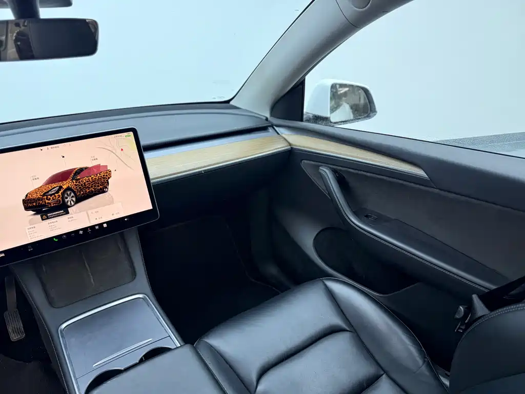 Tesla Model Y 2023 — фото 11