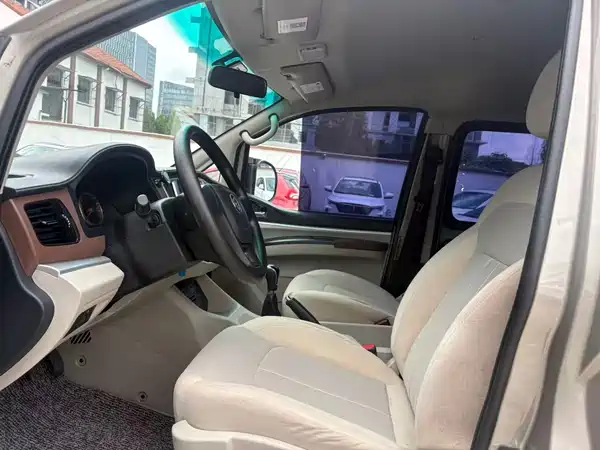 Dongfeng Lingzhi 2020