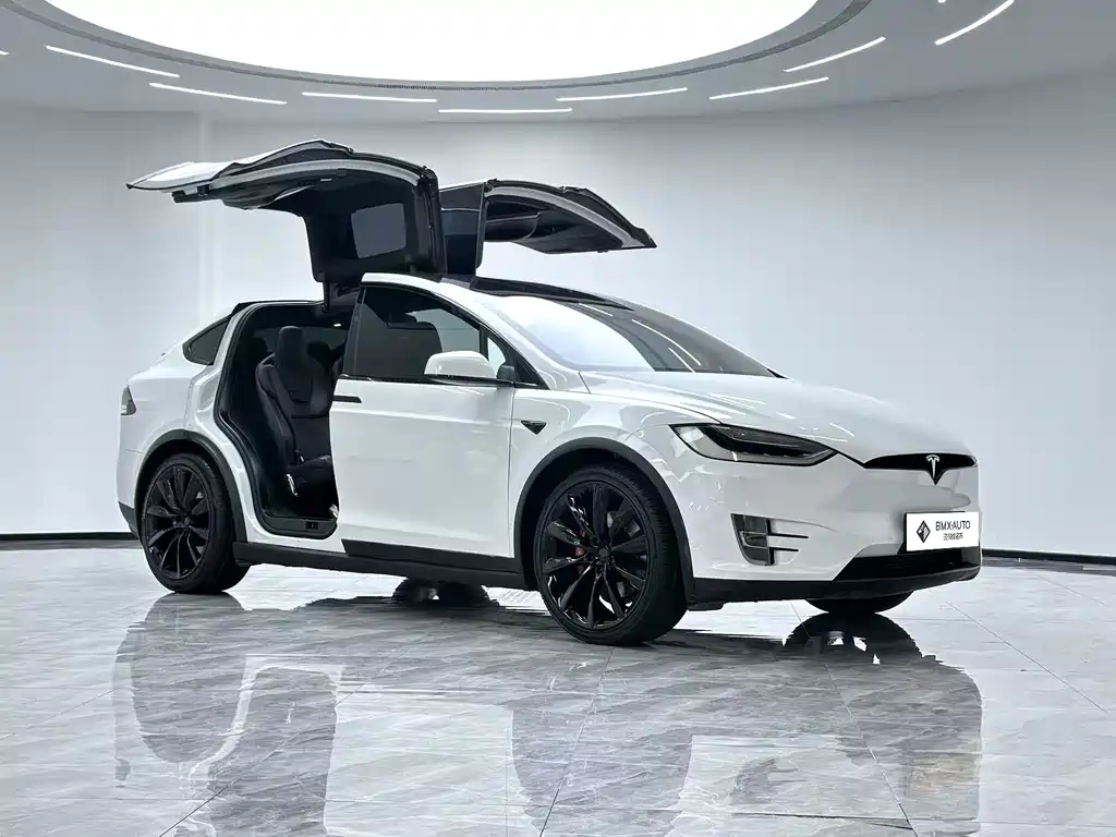 Tesla Model X 2017 — фото 2