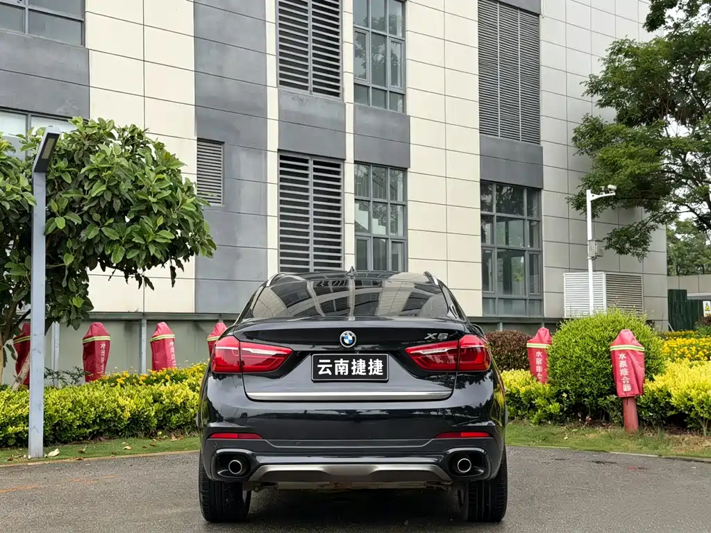 BMW X6 2017 — фото 8