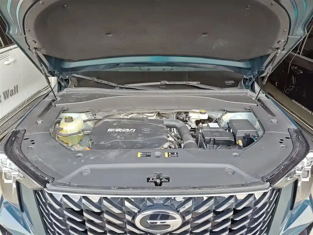 GAC Motor Trumpchi GS8 2022 — фото 12