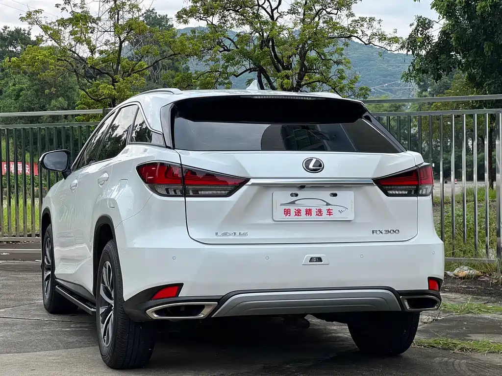 Lexus RX 2022 — фото 43