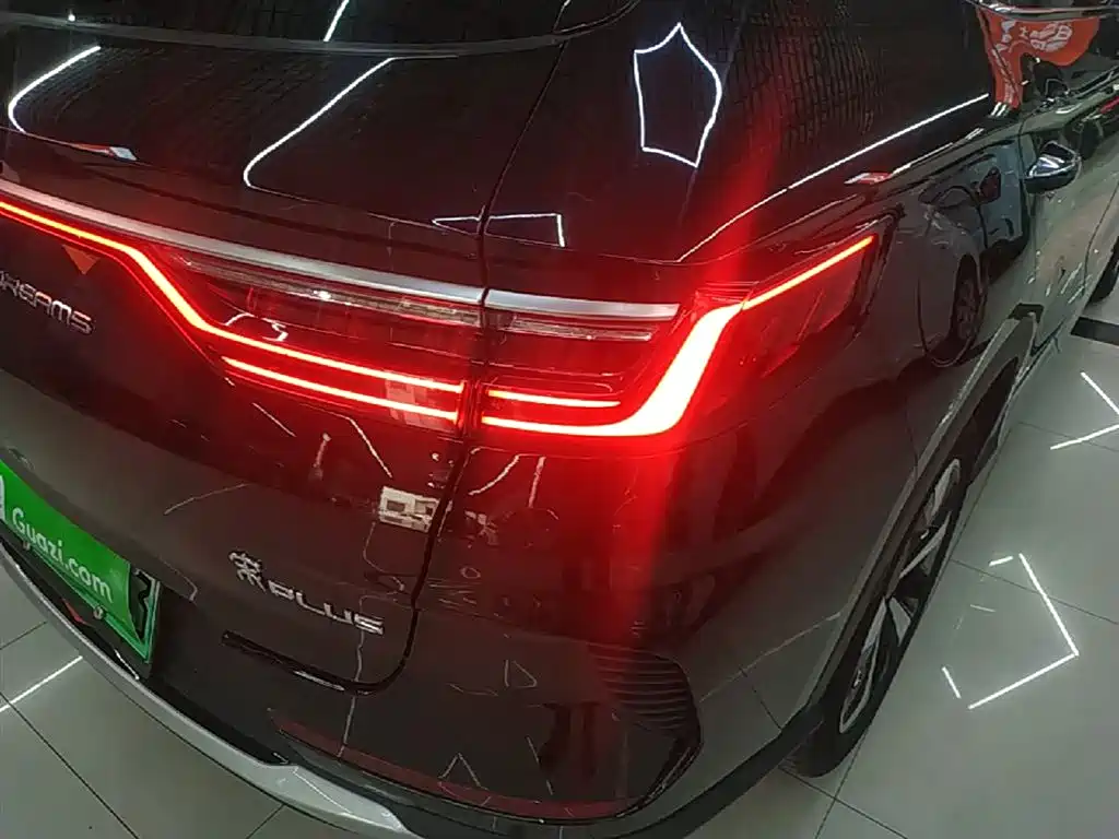 BYD PLUS New Energy 2023 — фото 8