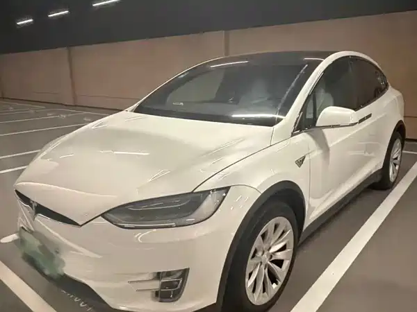 Tesla Model X 2020