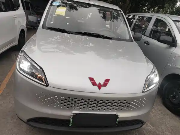 Wuling Hongguang New Energy 2025