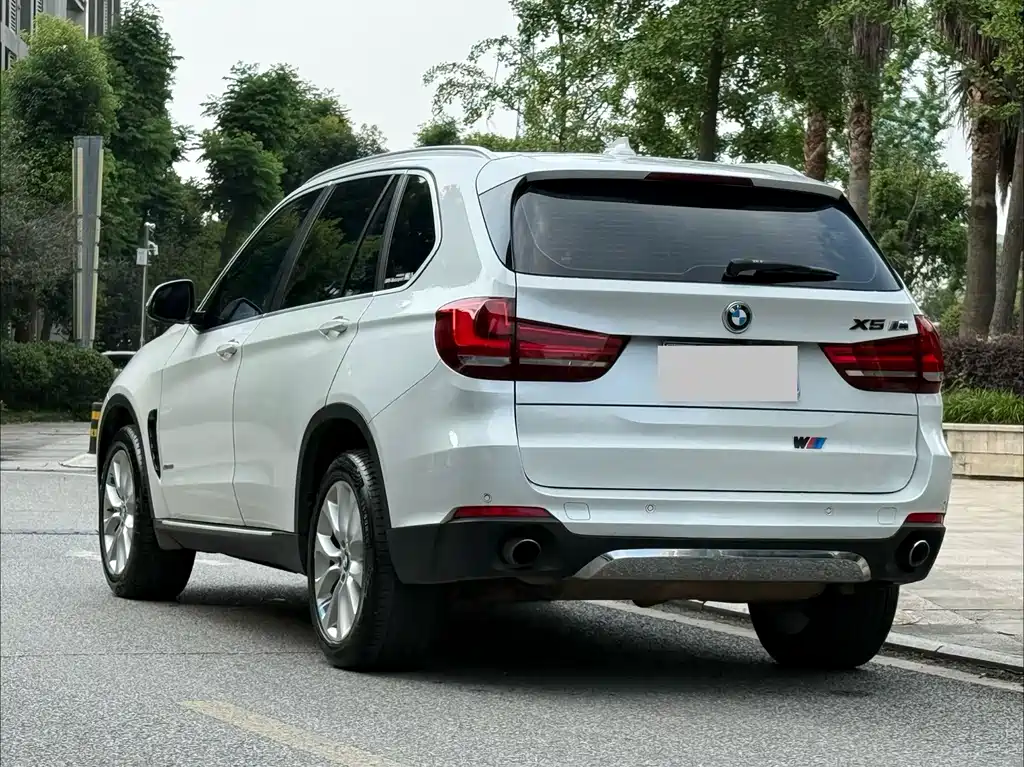 BMW X5 2014 — фото 4