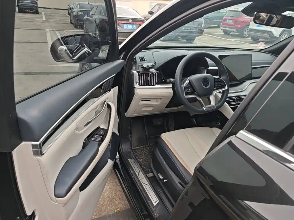 BYD PLUS New Energy 2023 — фото 16