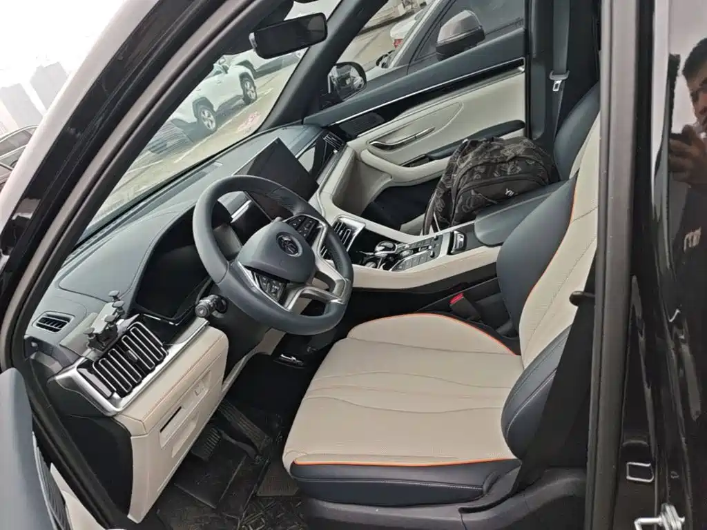 BYD PLUS New Energy 2023 — фото 15