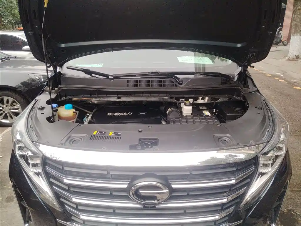 GAC Motor Trumpchi M8 2023 — фото 20
