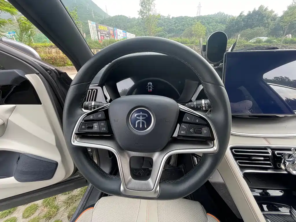 BYD PLUS New Energy 2022 — фото 8