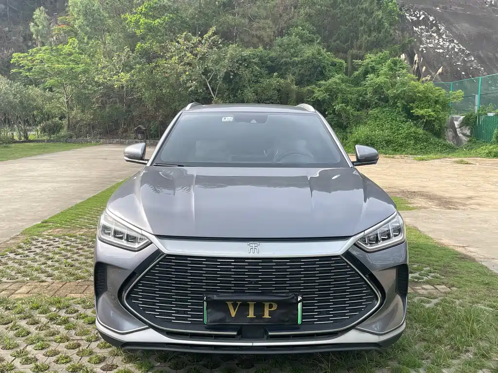 BYD PLUS New Energy 2022 — фото 2
