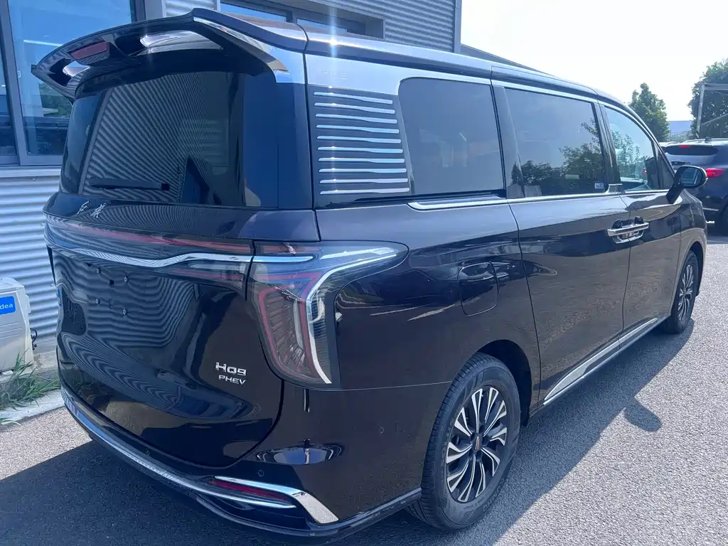 Hongqi HQ9 PHEV 2024 — фото 9