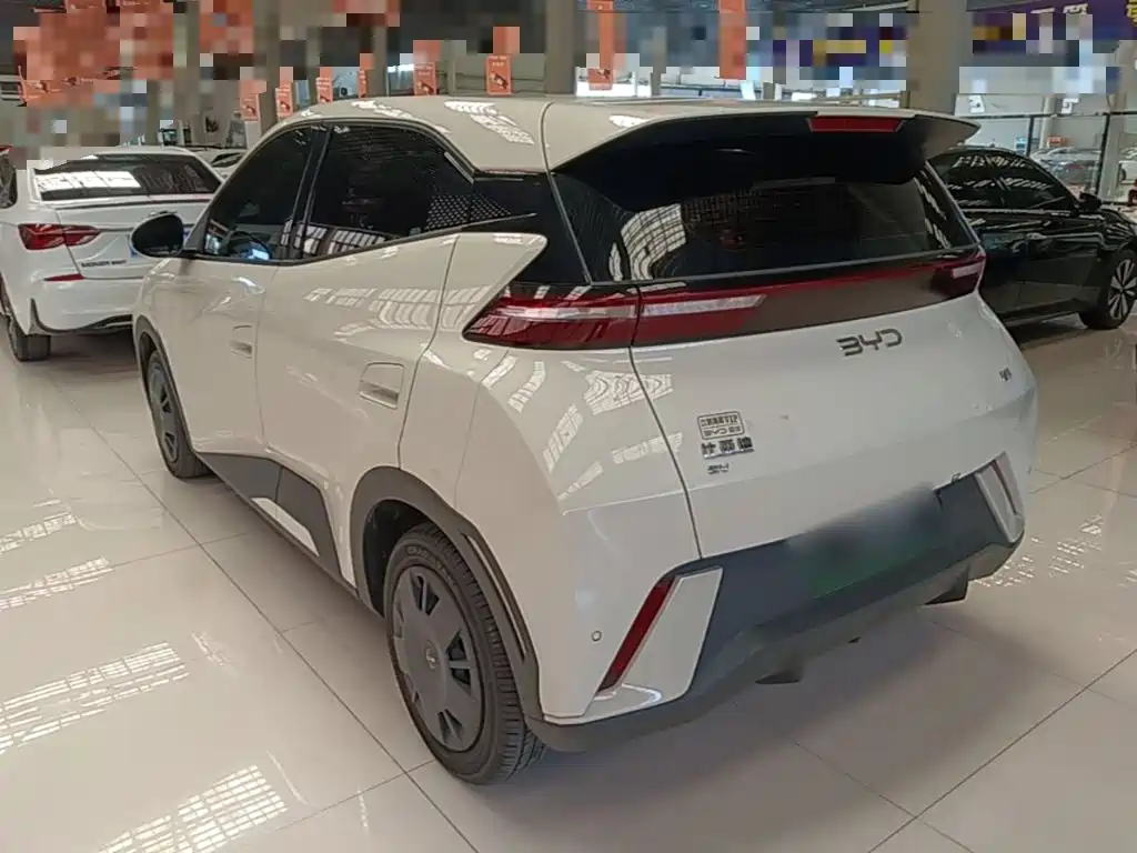 BYD Seagull 2024