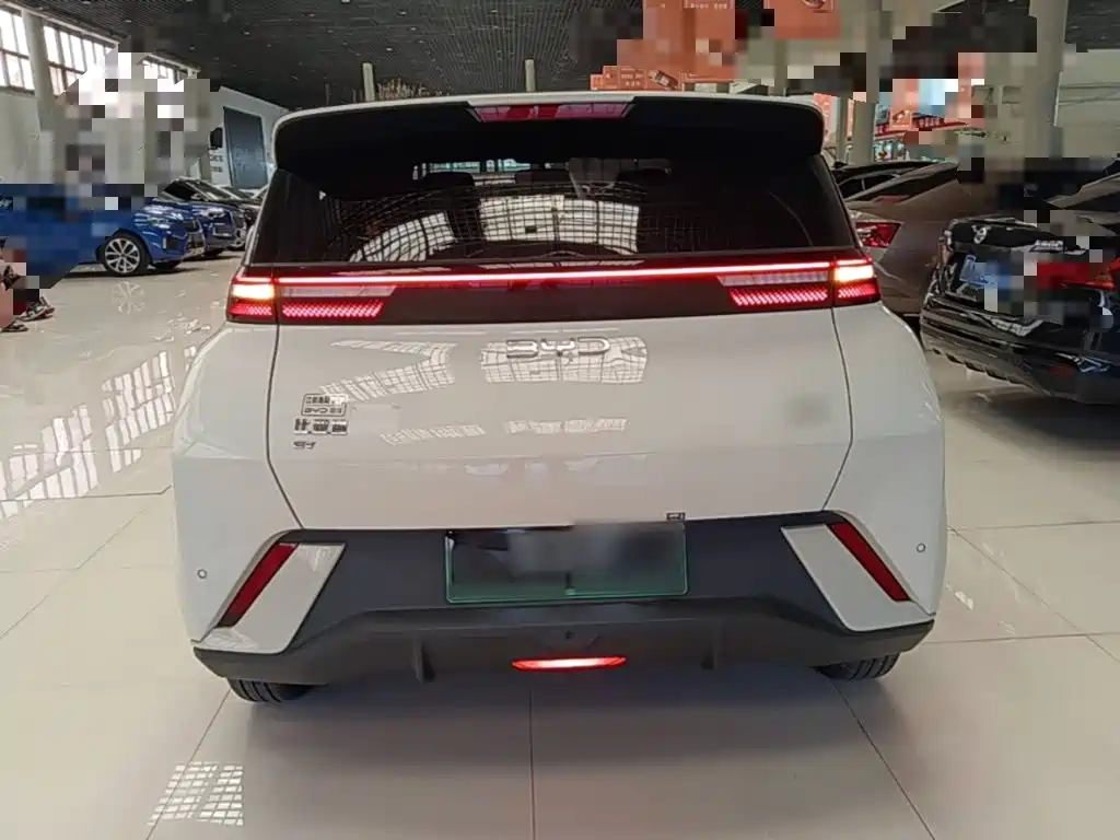 BYD Seagull 2024
