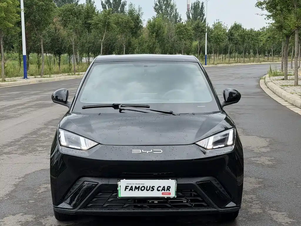 BYD Seagull 2024