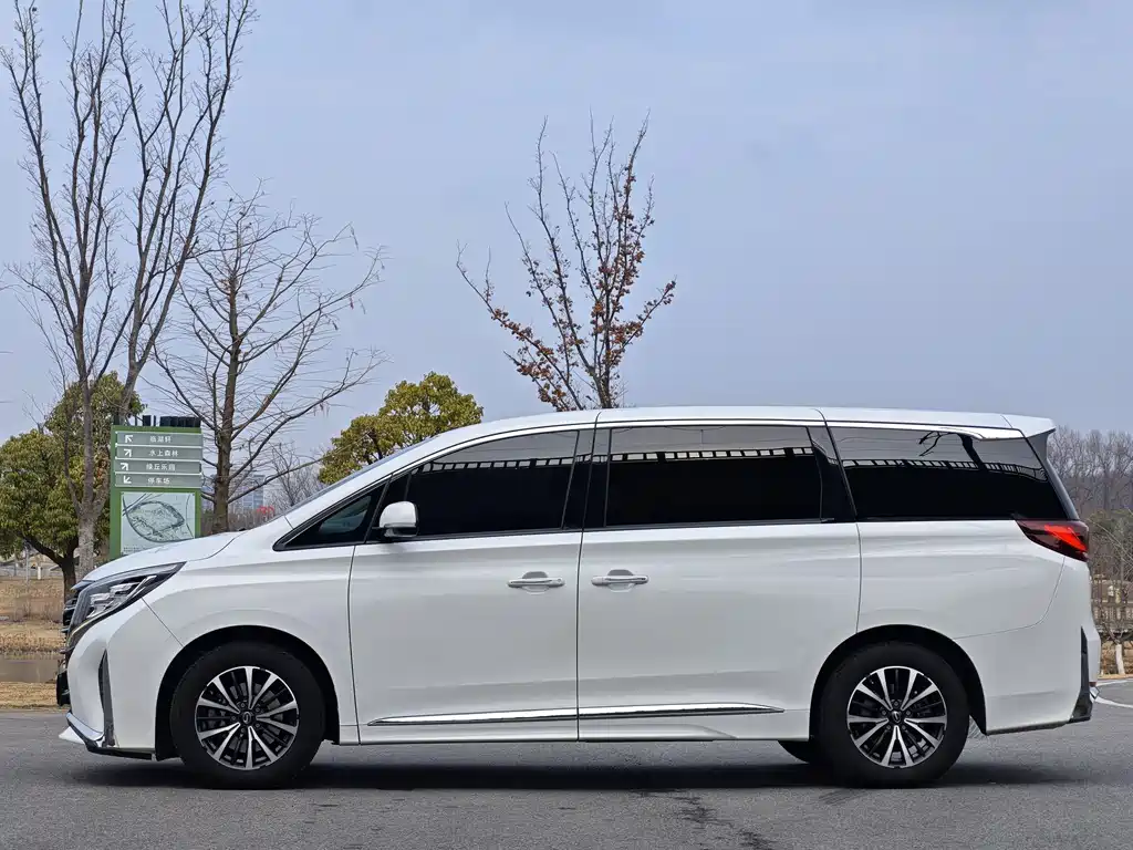 GAC Motor Trumpchi M8 2021 — фото 16
