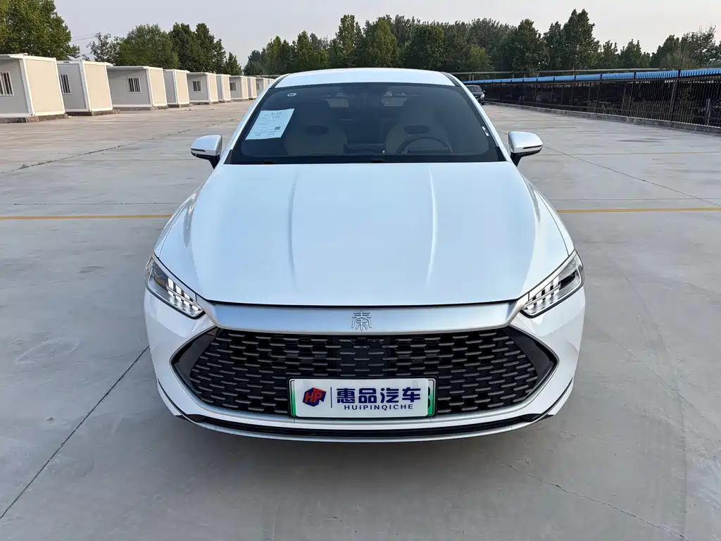 BYD Qin PLUS 2024 — фото 2