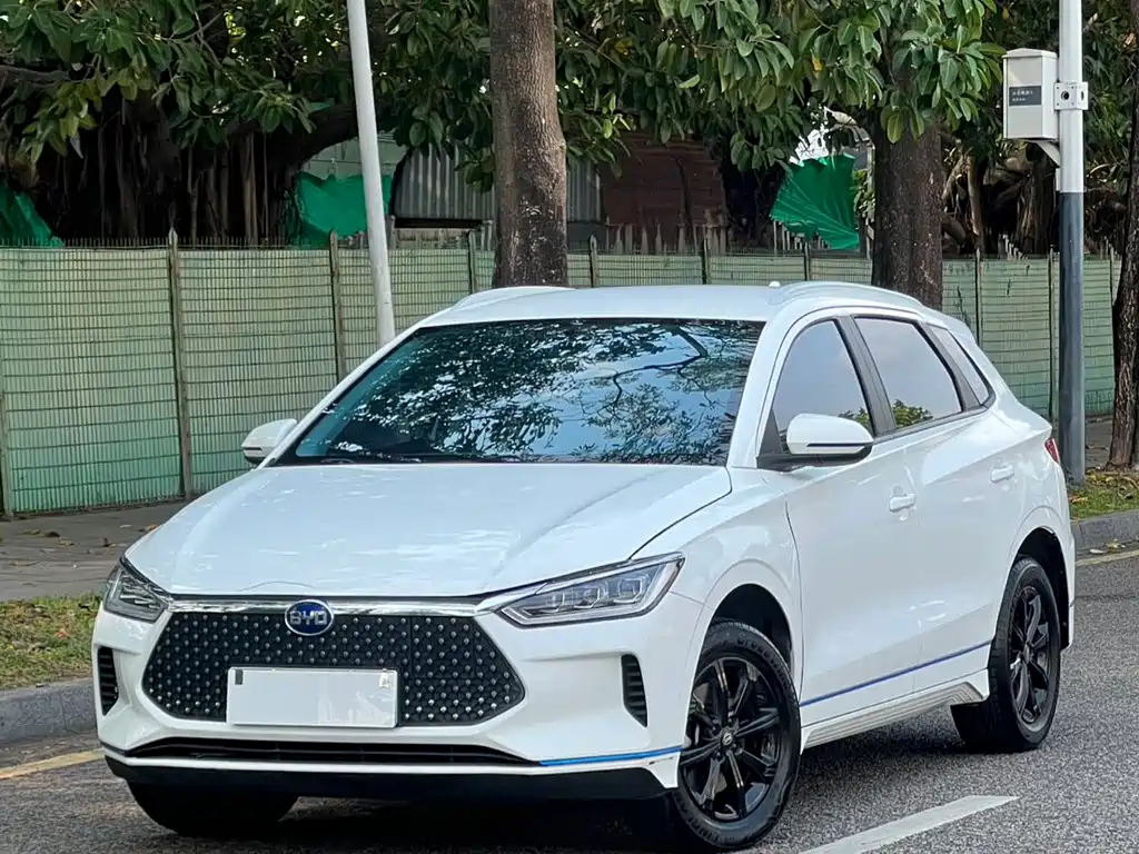 BYD e2 2020