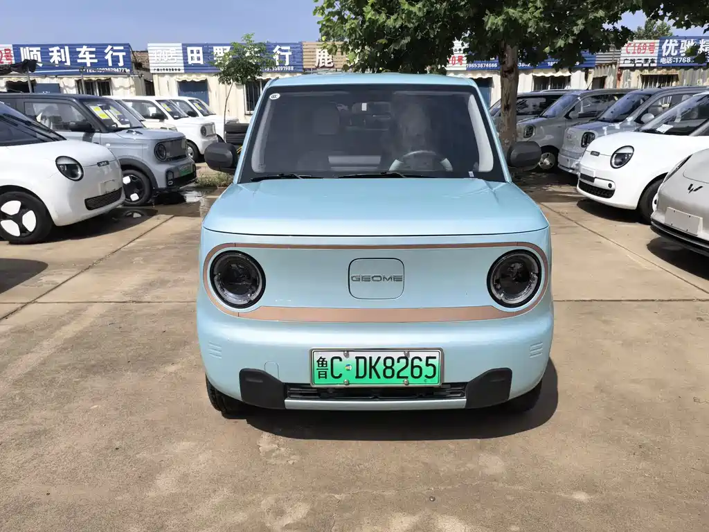 Geely Galaxy Panda 2025