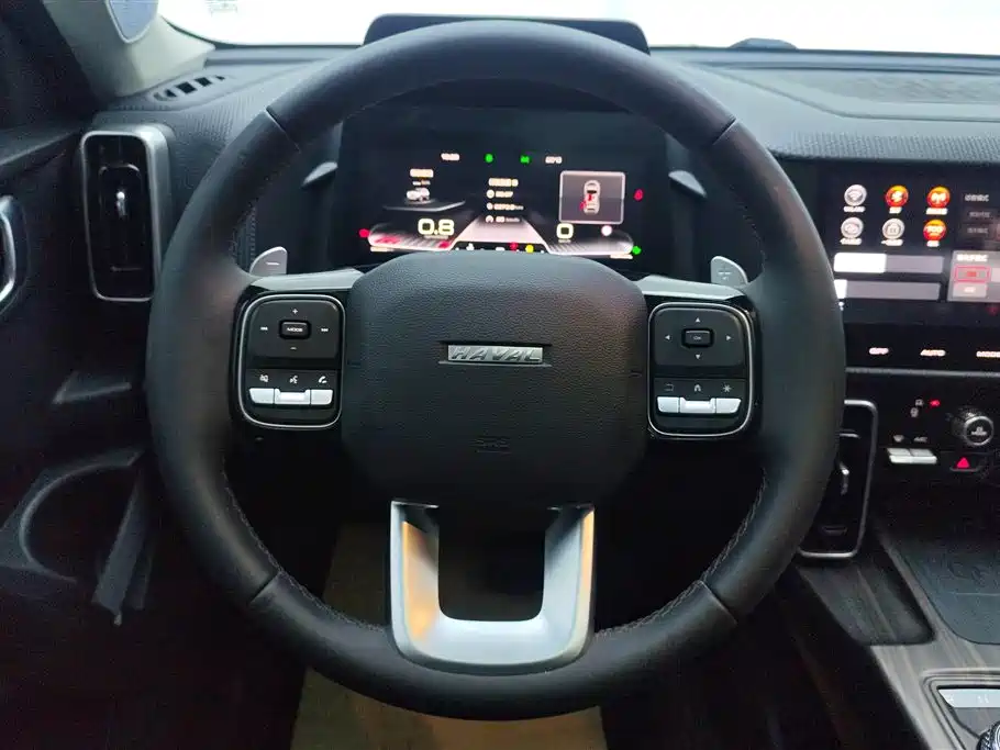 Haval Big Dog 2021 — фото 15