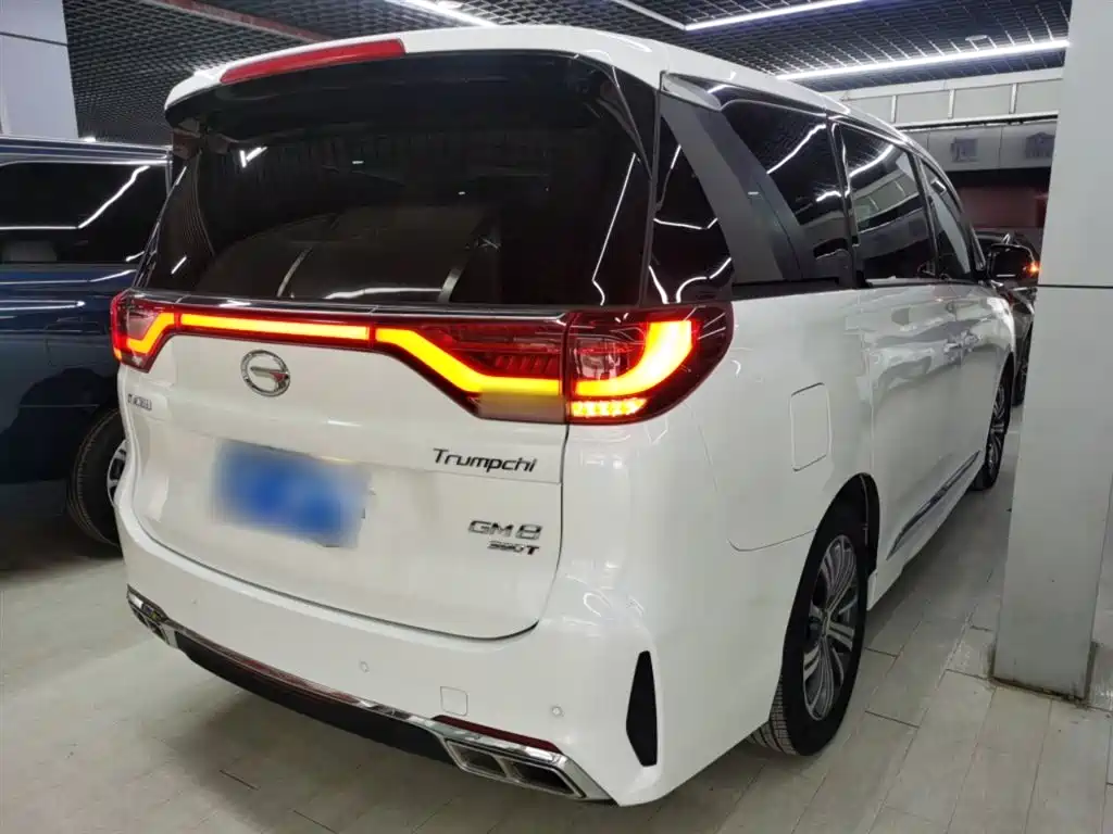 GAC Motor Trumpchi M8 2020 — фото 23