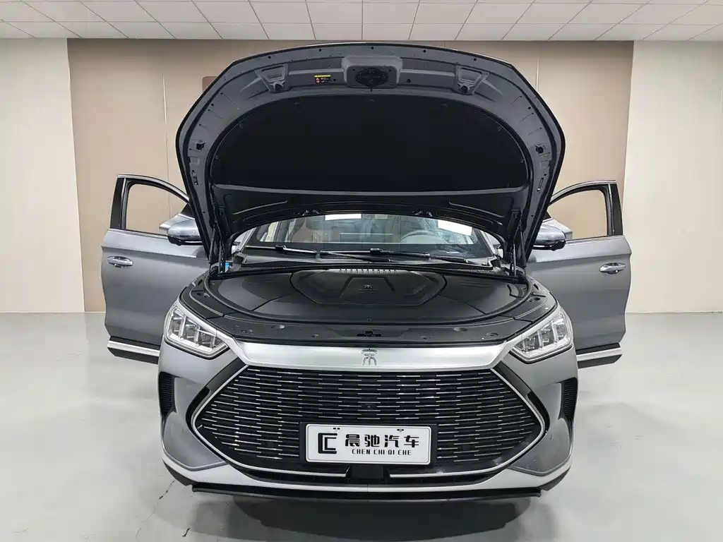 BYD Song PLUS New Energy 2023 — фото 15