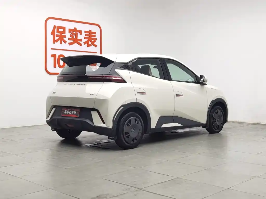 BYD Seagull 2024