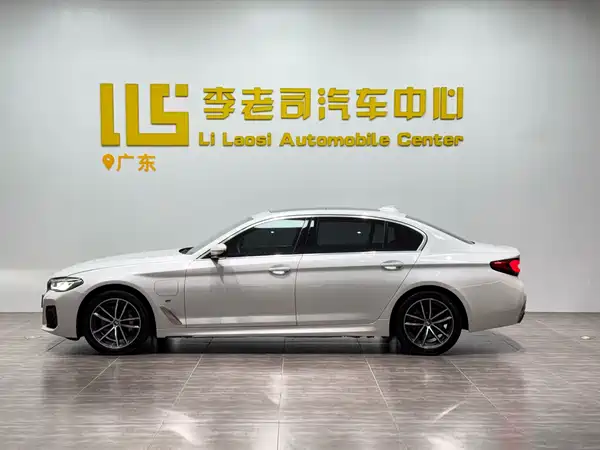 BMW 5 Series New Energy 2021