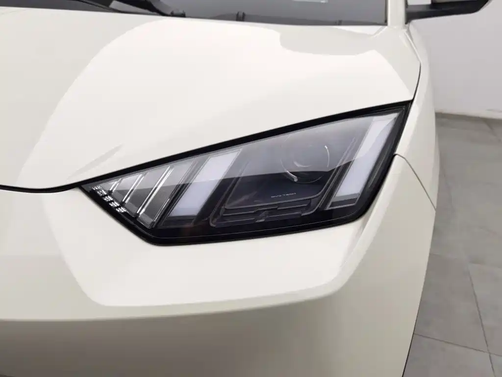 BYD Seagull 2024