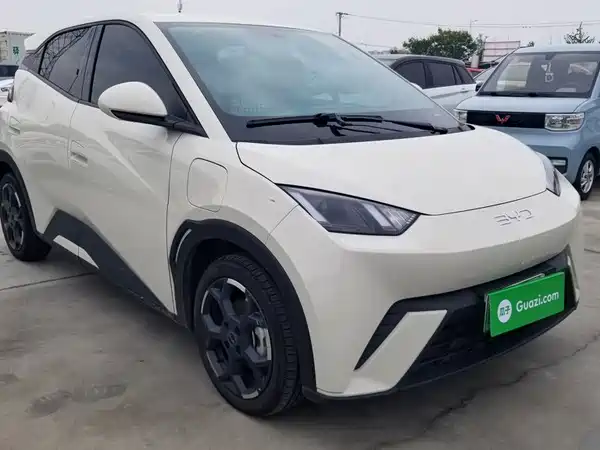 BYD Seagull 2024
