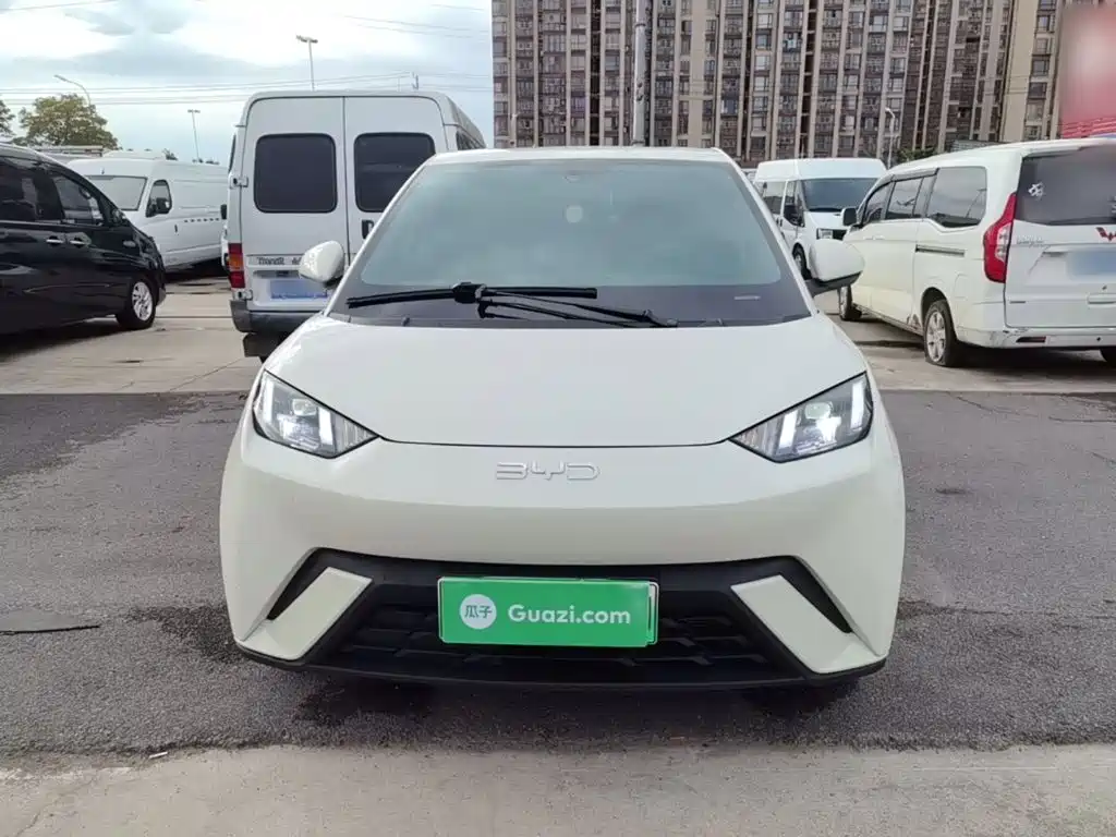 BYD Seagull 2024
