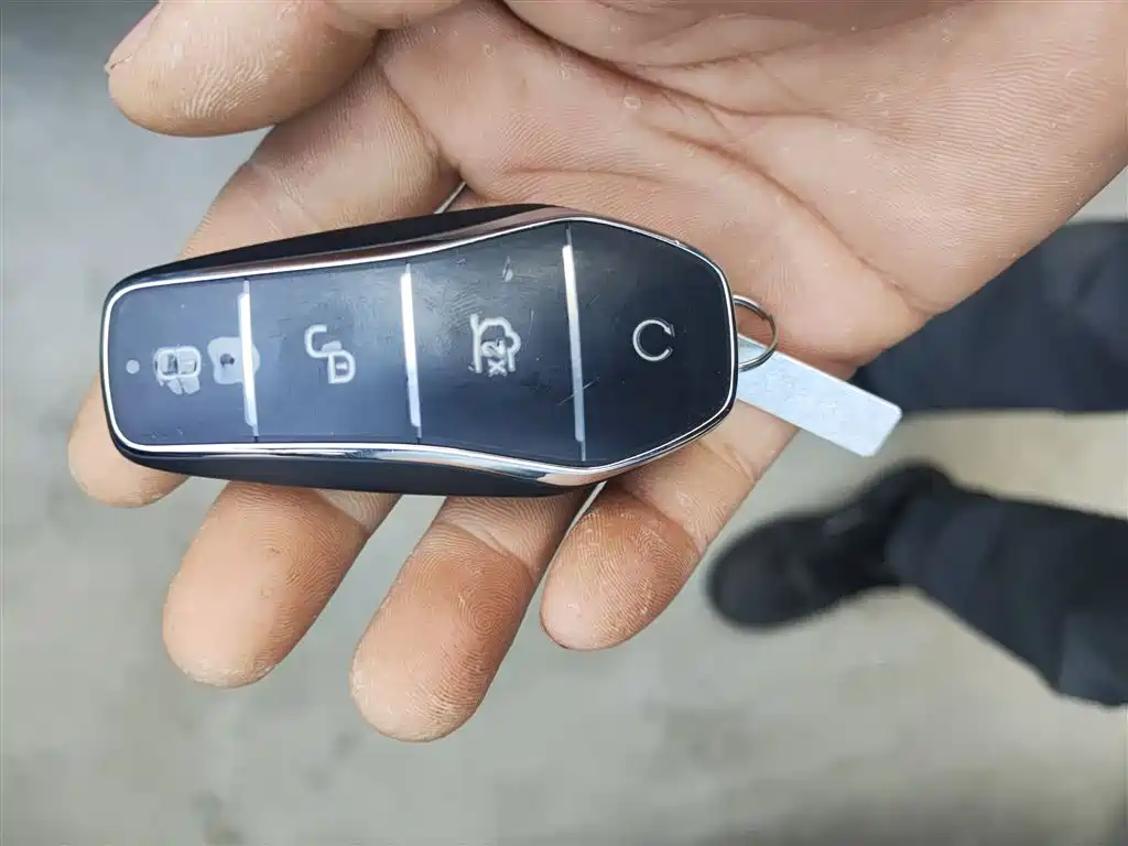 BYD L DM-i 2025 — фото 15