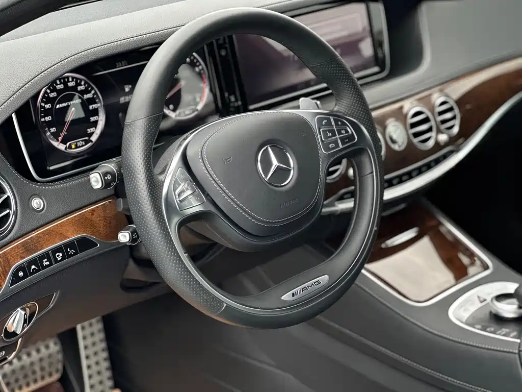 Mercedes-Benz S-Class AMG 2014 — фото 19