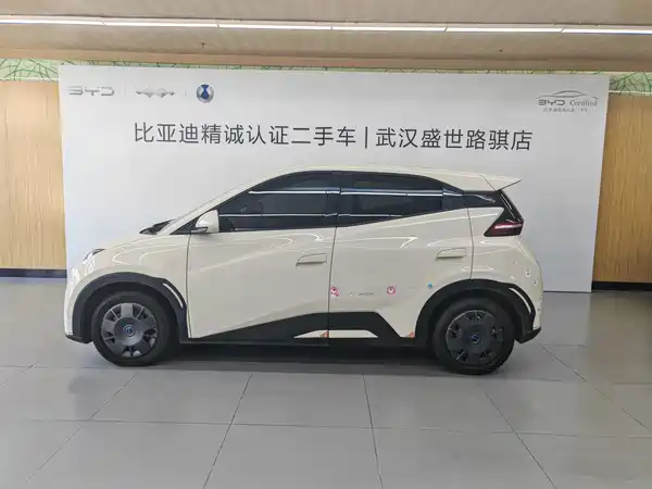 BYD Seagull 2024