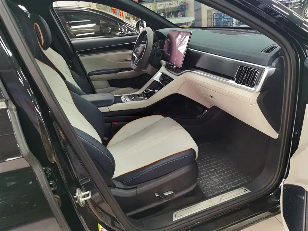 BYD PLUS New Energy 2023 — фото 4