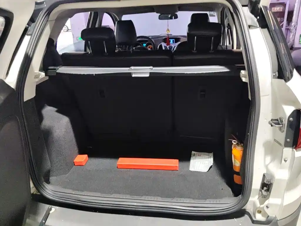Ford EcoSport 2015 — фото 19