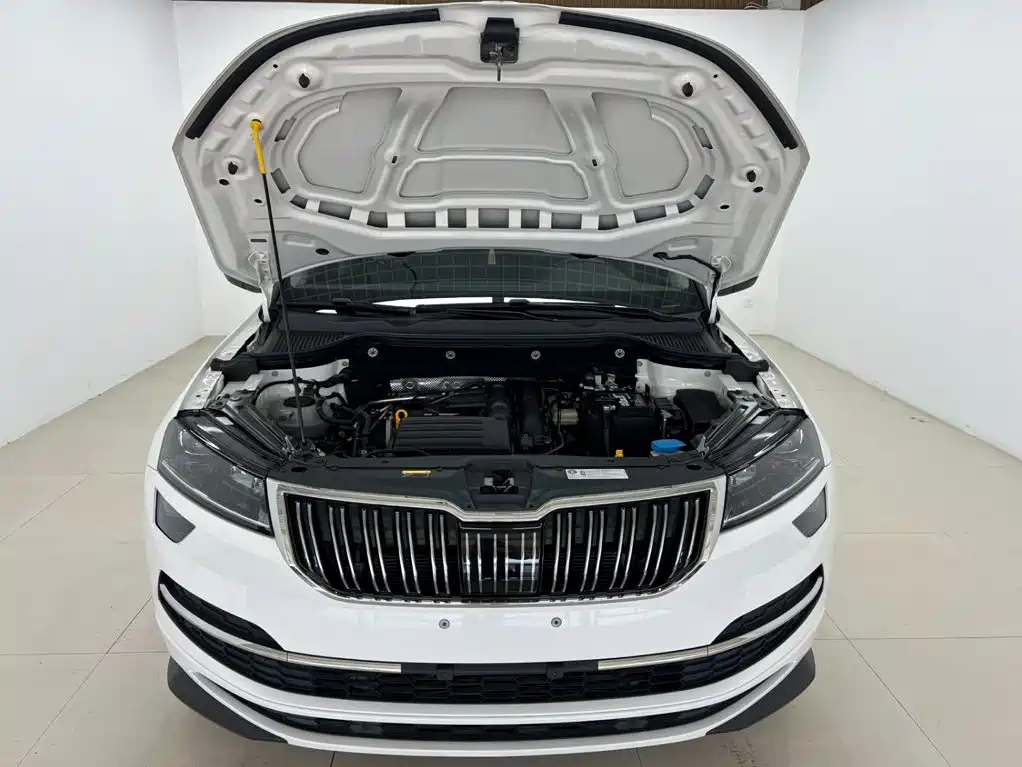Skoda Korok 2022 — фото 8