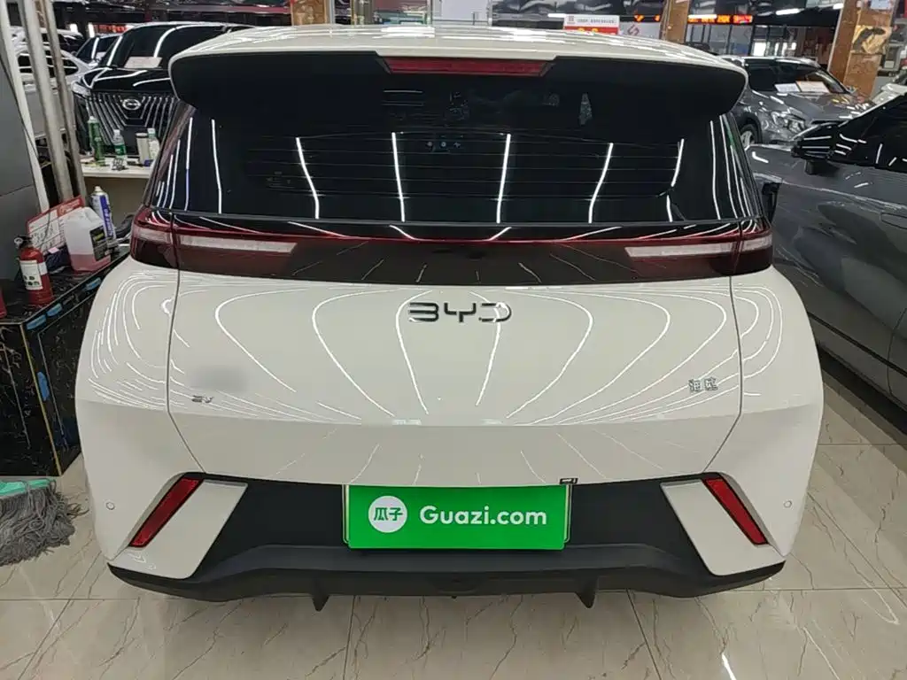 BYD Seagull 2025
